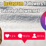 Get Free Instagram Followers from SilverIgFollower.net